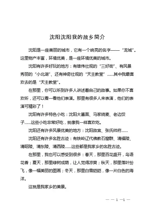 沈阳沈阳我的故乡简介