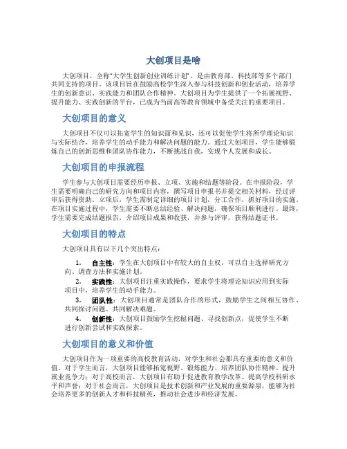 大创项目是啥