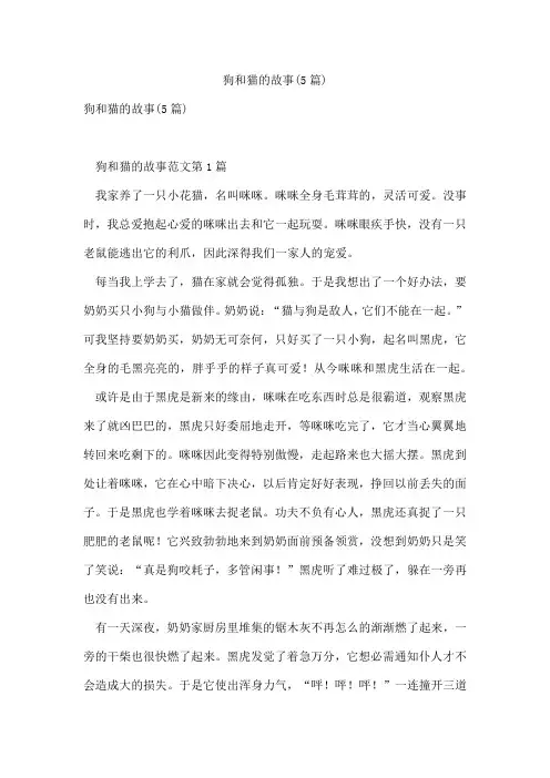 狗和猫的故事(5篇)