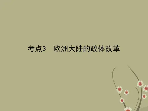 (通用版)高考历史一轮复习 第2单元 考点3 欧洲大陆的政体改革课件