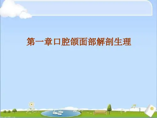 口腔医学--口腔颌面部解剖生理  ppt课件