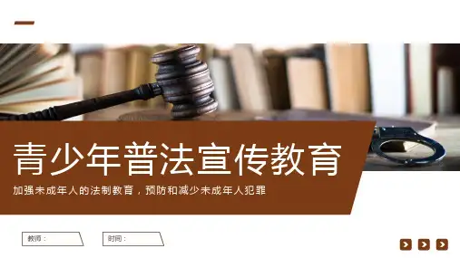 中小学生青少年普法宣传教育PPT课件