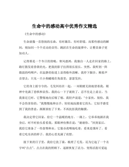 生命中的感动高中优秀作文精选