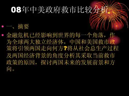 0808年中美政府救市比较分析