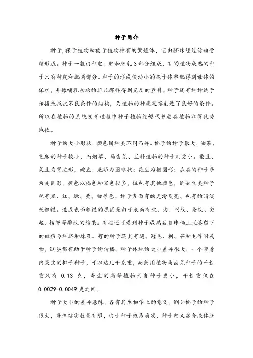 种子简介