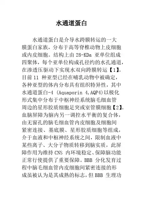 水通道蛋白