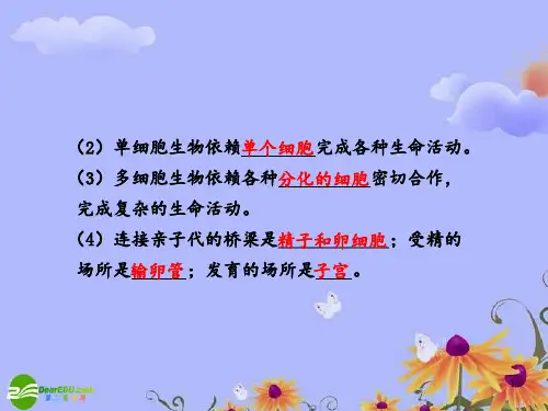 高考生物大一轮复习-第课时-走近细胞和组成细胞的分子-新人教