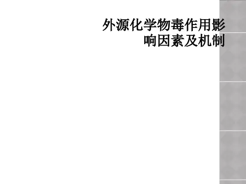 外源化学物毒作用影响因素及机制