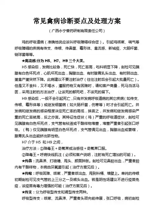 常见禽病诊断要点及处理方案范文
