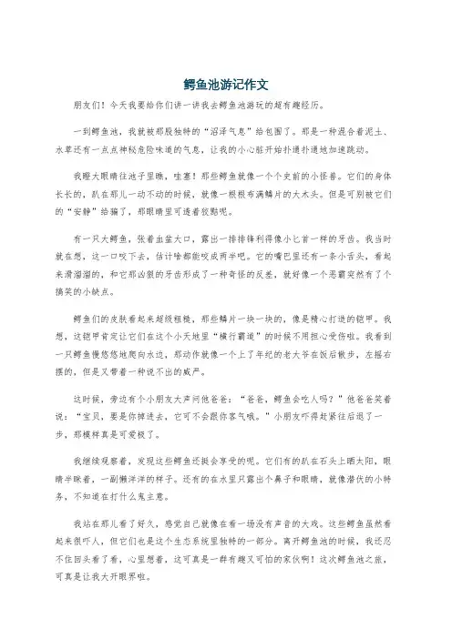 鳄鱼池游记作文