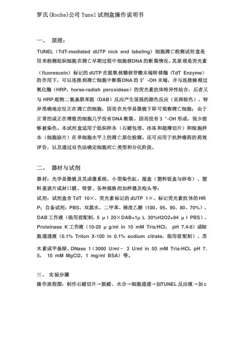 罗氏（Roche）公司Tunel试剂盒操作说明书