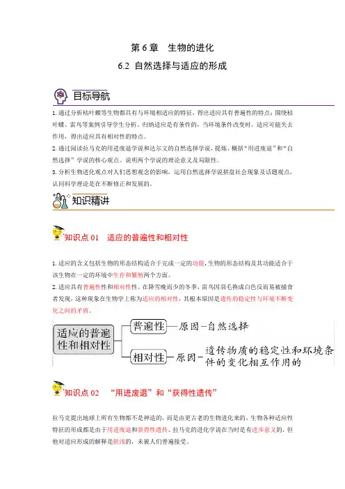 自然选择与适应的形成