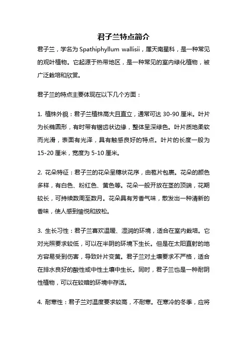 君子兰特点简介