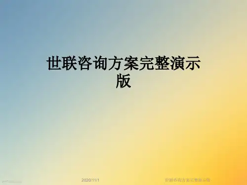 世联咨询方案完整演示版