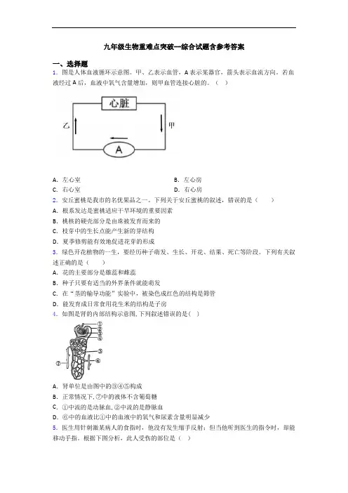 九年级生物重难点突破--综合试题含参考答案
