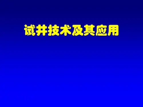 《试井技术及其应用》PPT课件