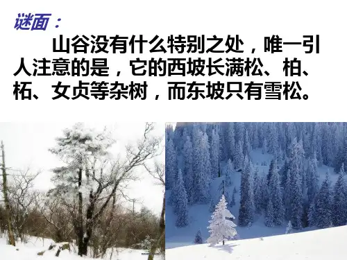 山谷中的谜底PPT