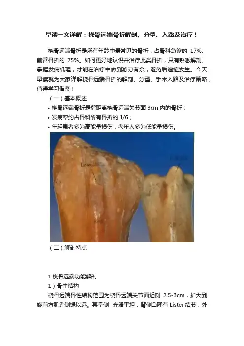 早读一文详解：桡骨远端骨折解剖、分型、入路及治疗！