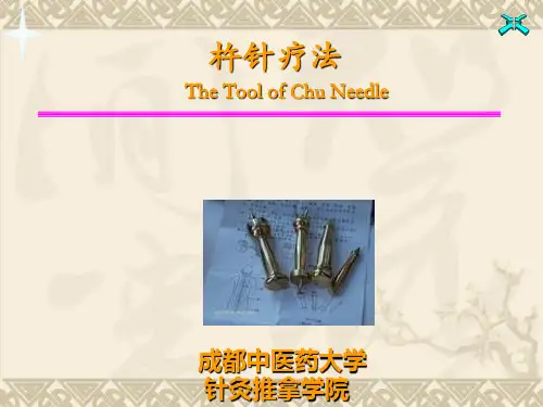 杵针疗法课件
