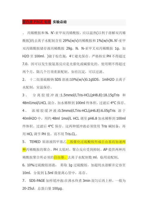 蛋白质PAGE电泳 实验总结