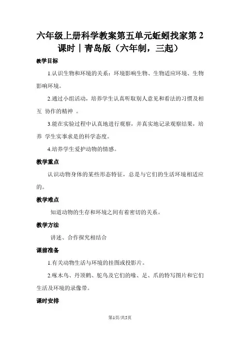 六年级上册科学教案第五单元蚯蚓找家第2课时∣青岛版(六年制,三起)