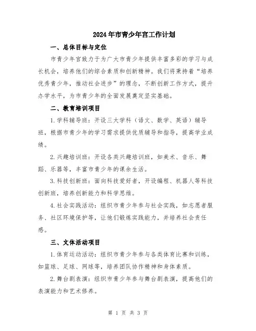 2024年市青少年宫工作计划