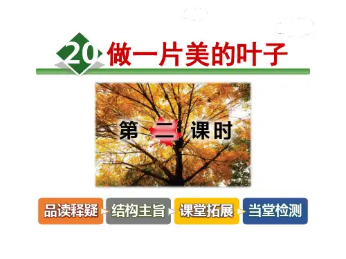 《做一片美的叶子》课件(完整版)