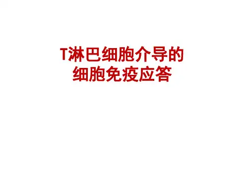 医学免疫学：T淋巴细胞介导的细胞免疫应答