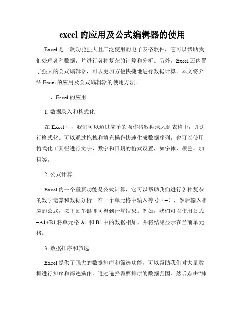 excel的应用及公式编辑器的使用