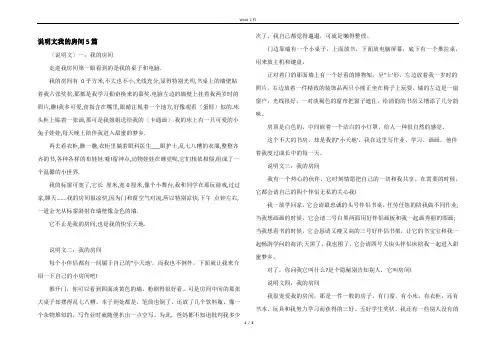 说明文我的房间5篇