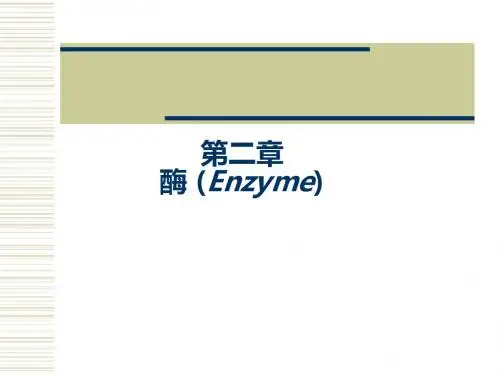 2---酶----生物化学课件
