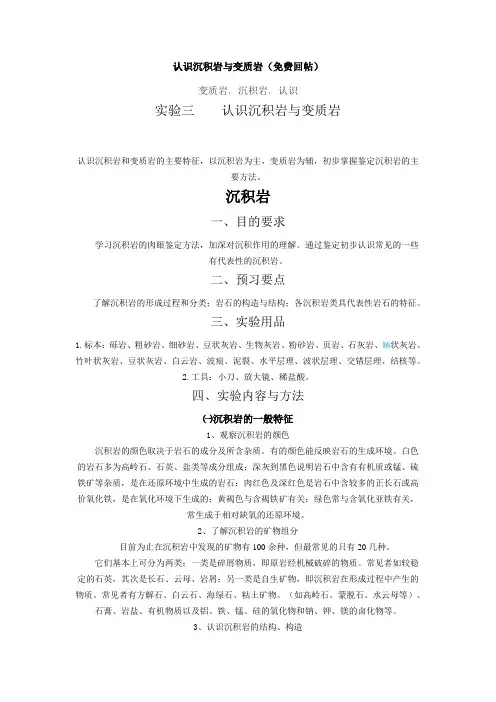 认识沉积岩与变质岩