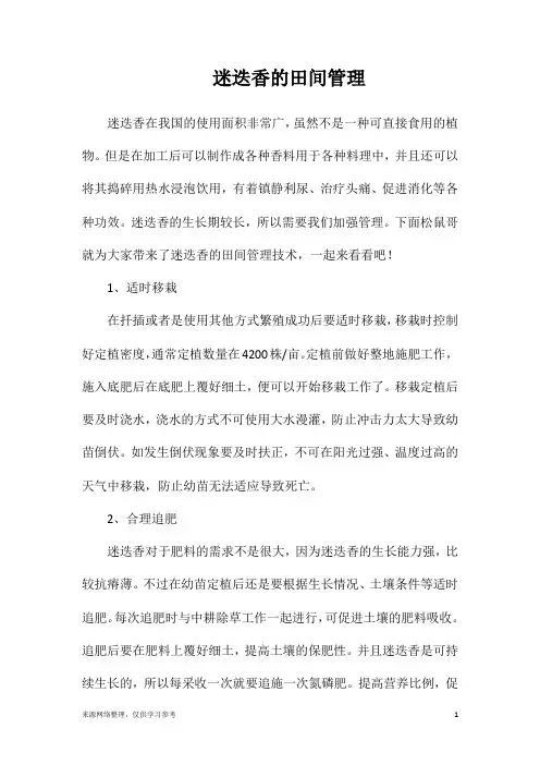 迷迭香的田间管理