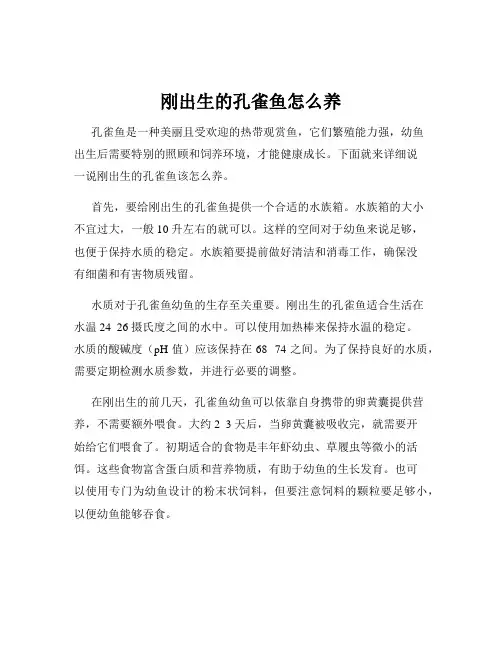 刚出生的孔雀鱼怎么养