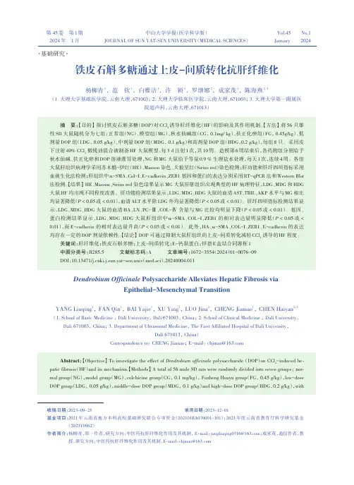 铁皮石斛多糖通过上皮-间质转化抗肝纤维化