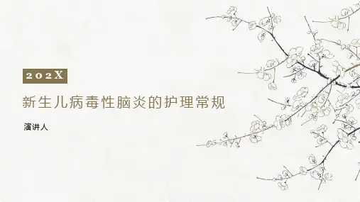 新生儿病毒性脑炎的护理常规ppt