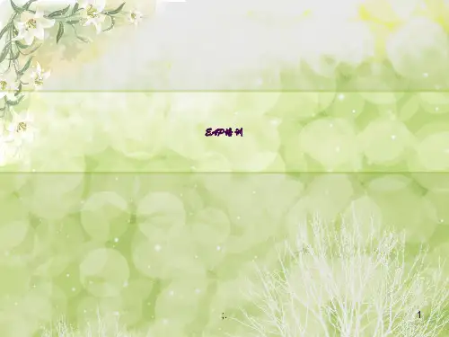 EAP培训ppt课件