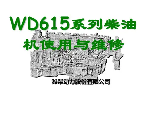 WD615机子简介以及特点参数