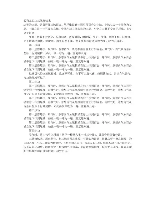 武当太乙功三脉修炼术