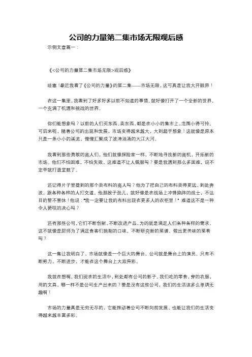 公司的力量第二集市场无限观后感