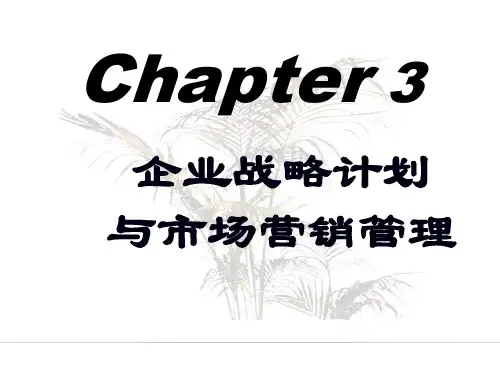 企业战略计划与市场营销管理教材(共 31张PPT)
