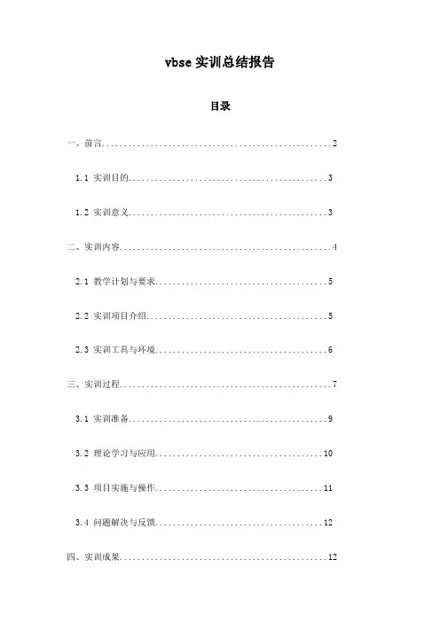 vbse实训总结报告