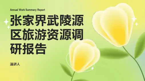 张家界武陵源区旅游资源调研报告