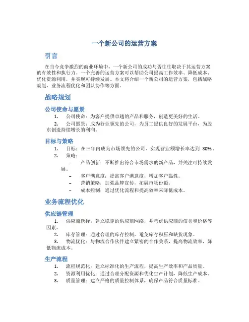 一个新公司的运营方案