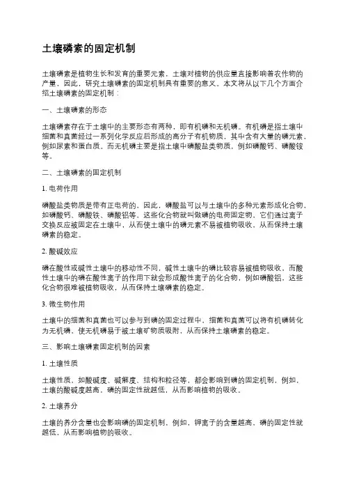 土壤磷素的固定机制