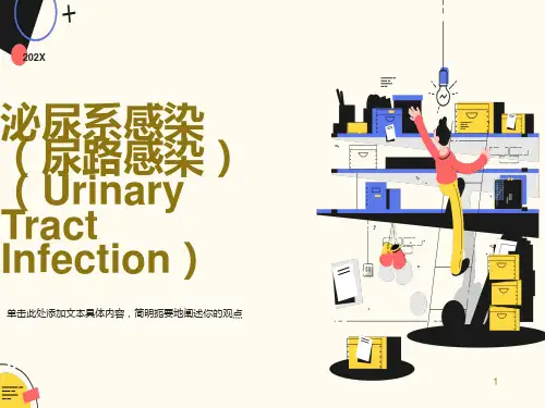 泌尿系感染(尿路感染)