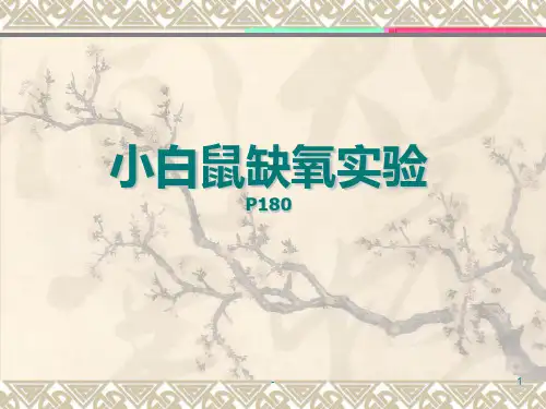 (高)小白鼠缺氧实验PPT课件