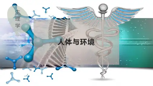 人体与环境