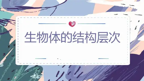 《生物体的结构层次》PPT