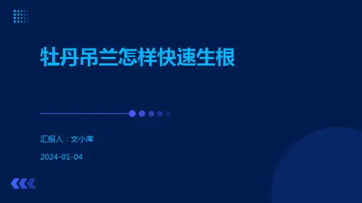 牡丹吊兰怎样快速生根